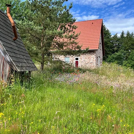 Feriehus Bispinger-heidezauber-haus-felsenbirne Bispingen